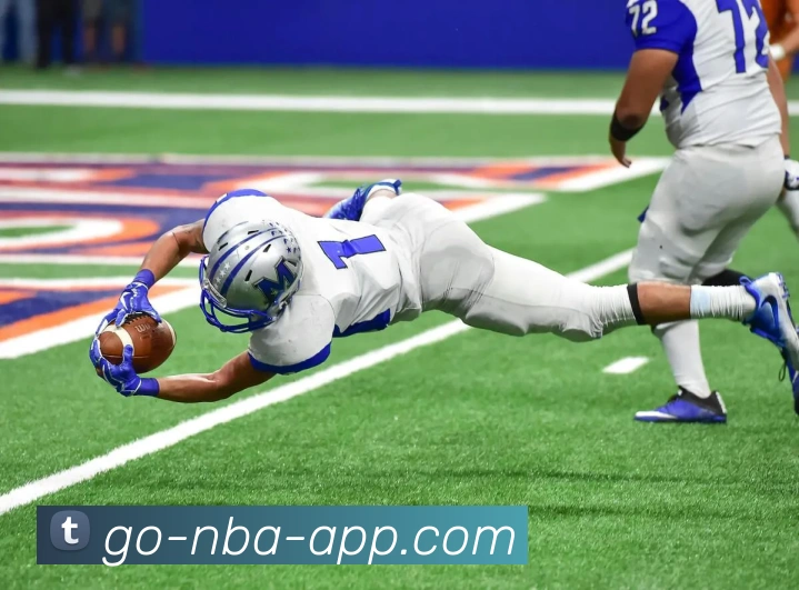 NBA买球网站平台生态图